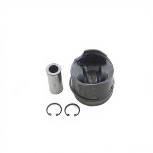 Gruppo Pistone ALLMAKES 4X4 LFL500040 per Land Rover - Product Image 1