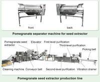 Hoge Kwaliteit Granaatappel Passievrucht Extractor Granaatappelsap en Schilmachine Granaatappelsap Verwerkingslijn