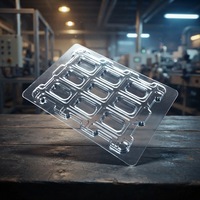 Barquettes d'emballage jetables en plastique PET de qualité alimentaire, type blister, pour téléphones portables, appareils photo et articles électroniques - Logo couleur personnalisé