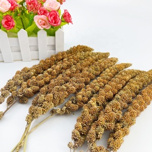 Nourriture pour animaux, prix bon marché, spray de <span class=keywords><strong>millet</strong></span> jaune de bonne qualité pour l'alimentation des <span class=keywords><strong>oiseaux</strong></span> 6-12 pouces - Product Image 6