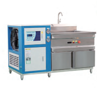 Automatische Fruit-En Groentewasmachine Met Bubbeltechnologie