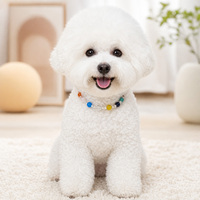 Collier pour animaux de compagnie en perles de cristal naturel 100% aux cinq éléments, réglable, durable et luxueux, avec bracelet assorti pour le propriétaire