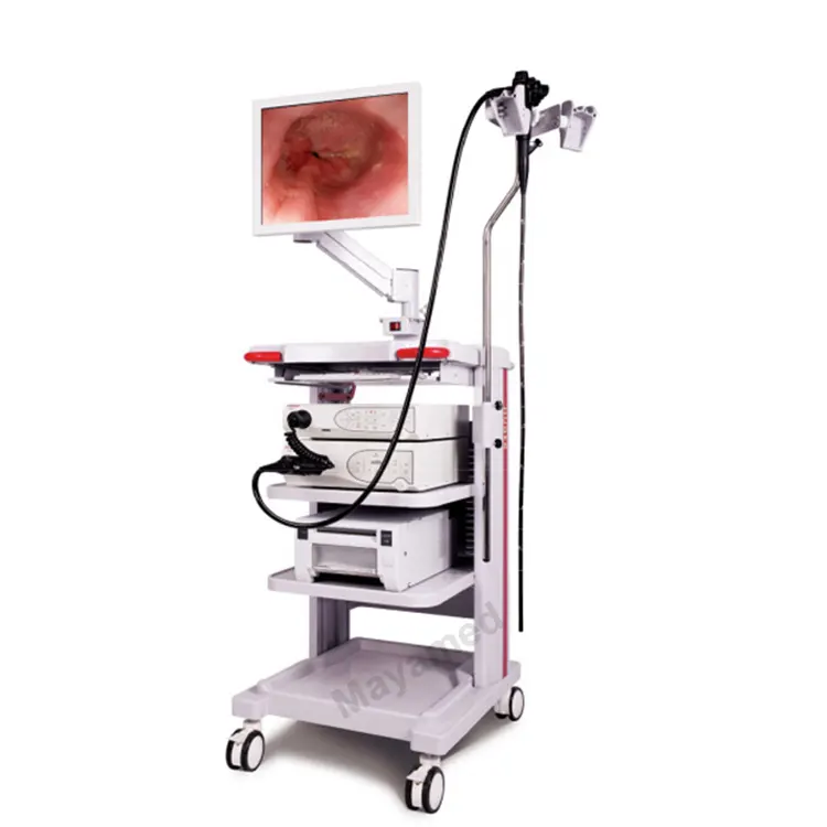 endoscope camera system Video Endoscope medical Electronic Gastroscopy Colonoscope endoscopios video gastroscope system