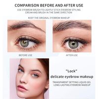 Gel Sourcils Végétalien Transparent Minéral Naturel Imperméable Longue Tenue Effet Poudre Fixante 5g Couleurs & Logo Personnalisés OEM/ODM Marque Privée