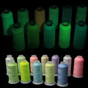 Cross Stitch Floss Glow in The Dark Thread Polyester Sewing Thread for Embroidery