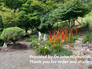 Scultura in Vetro di Murano Moderna Soffiata a Mano con Testa di Cigno, Smaltata a Colori Rossi e Gialli, per Decorazione <span class=keywords><strong>da</strong></span> <span class=keywords><strong>Giardino</strong></span> - Vendita all'Ingrosso - Product Image 6