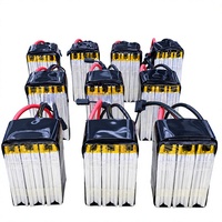Paket Baterai LiPo LongKun 6S 22.2V 10000mAh 50C, Baterai Polimer Lithium High Discharge untuk Drone RC UAV OEM ODM