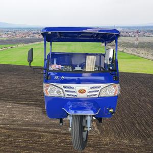 Triciclo con Motor Changchai - Product Image 3
