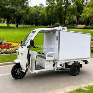 Carro Refrigerador Portátil de 3 Ruedas para Exteriores, Camión Congelador Móvil, Carro Refrigerador Personalizado, Camiones de Venta Refrigerados, Congelador con Cámara Frigorífica - Product Image 4