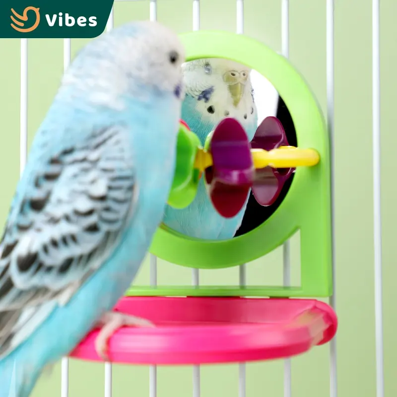 Atacado Papagaio Brinquedos Ambientais Pet Bird Mirror Com Moinho De Vento Ou Bell