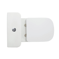 WC en céramique de luxe à deux pièces avec chasse d'eau dissimulée, design moderne et de haute qualité, pour salle de bain, avec siphon en P, fabriqué en Chine