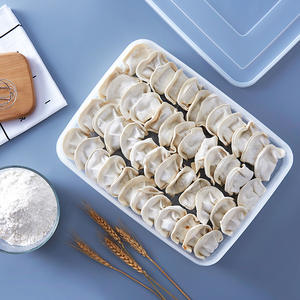 Dumpling Box Food <b>Storage</b> <b>Container</b> Rectangle L Size With <b>Plastic</b> Lid Airtight Quick Freezing For Kitchen Refrigerator Use - Product Image 2