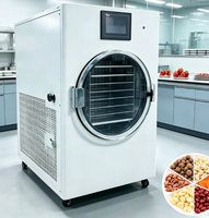 Machine de lyophilisation portable pour la maison, petite machine de lyophilisation pour la préparation quotidienne de fruits croustillants faits maison