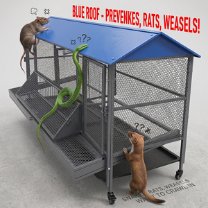Cage robuste d'extérieur pour poules pondeuses, poulets, canards, oies – Équipement d'élevage pour fermes et jardins - Product Image 6
