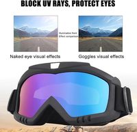 Masque facial amovible BAOBAO, lunettes de protection pour la moto, le ski, le VTT, le motocross, résistant au vent, anti-buée, chaud, pour adultes, vente en gros
