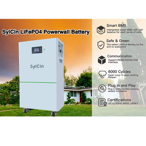 بطارية ليثيوم أرضية 48 فولت 300 أمبير 15 كيلوواط/ساعة مع نظام إدارة ذكي BMS، طاقة منزلية لنظام الطاقة الشمسية خارج الشبكة - Product Image 2