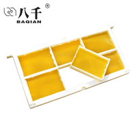 Kit complet de cassette de miel en combles de 500g, 1 cadre en plastique avec 6 boîtes de cassette transparentes, belles boîtes de miel en combles transparentes