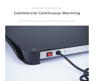 Plaque chauffante commerciale à économie d'énergie 500W, plateau chauffant à résistance, haute efficacité, garantie 3 ans, conception extérieure haute puissance, puissance 500W - Product Image 5