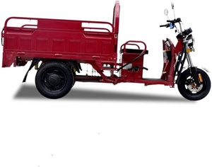 Tricycle électrique cargo ouvert, batterie, vitesse 30-50 km/h, pneus de 10 pouces, dimensions 2550*940*1300 mm, capacité de charge 200-300 kg, autonomie 50-70 km - Product Image 2