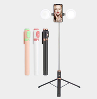 Perche à selfie réglable et pliable de 170 cm avec anneau lumineux, télécommande et trépied extérieur