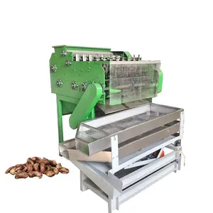1 Automatic South Africa Raw Almond Nut Cashew Fruit Nut Shelling Peeling Processing Machine