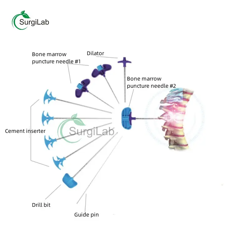 Outils orthopédiques Inserteur de ciment Vertèbre thoracique Vertèbre lombaire Ensemble osseux PKP Kyphoplastie PVP Kit d'instruments de vertébroplastie