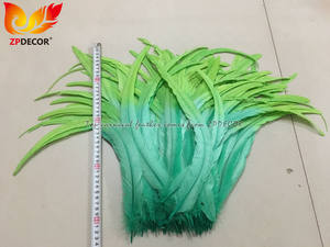 ZPDECOR - Plumas de <span class=keywords><strong>Gallo</strong></span> Coque al por Mayor, 35-40 cm, Teñidas de Turquesa con Verde Lima, para Disfraces de Samba y Carnaval - Product Image 2