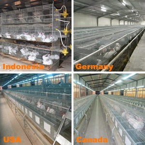 Cage de ferme de lapin soudée galvanisée cage de ferme de lapin soudée galvanisée cages de lapin industrielles d'élevage commercial - Product Image 6