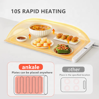 220V elektrisch einstellbare Temperatur faltbare Tisch heiz schale für Lebensmittel warm halten.