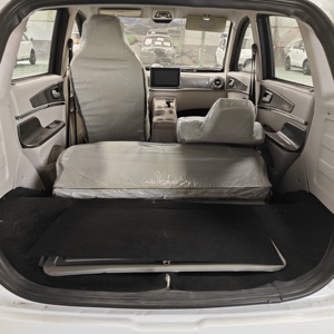 Barato Venta caliente Smart New Energy Adult Cuatro ruedas Mini coche eléctrico pequeño hecho en China E car EV cars - Product Image 2