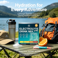 Sachets de mélange de boisson électrolytique sans sucre, certifiés GMP ISO, pour hydratation et récupération énergétique, avec potassium et magnésium, marque distributeur OEM ODM