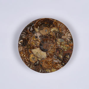 Lámpara de Pared LED con Rebanada de Concha de Amonita Pulida, Diseño Moderno y Minimalista para Decoración de Interiores - Product Image 3