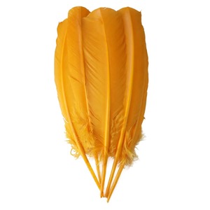 Plumes de dinde blanches lavées de qualité supérieure, colorées, 25-35 cm, <span class=keywords><strong>prix</strong></span> raisonnable, vente en gros, directement de l'usine leader - Product Image 1
