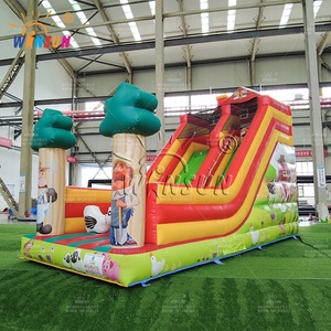 Scivolo d'Acqua Gonfiabile Personalizzato WINSUN, Grande e Lungo 10m 15m 22ft 40ft, per Adulti e Bambini, Uso Commerciale - Product Image 4