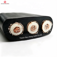 Kabel Daya Terlindung JHSBP Berisolasi EPR dengan Selubung Kloroprena 450/750V untuk Motor Submersible