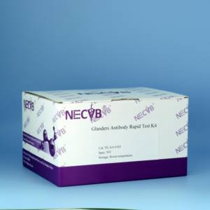 Bandelette de <span class=keywords><strong>test</strong></span> rapide d'anticorps contre la morve | détection de Burkholderia mallei | 50 tests/kit - Product Image 2