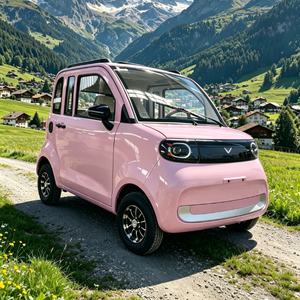 Nouvelle conception EEC L6e COC, <span class=keywords><strong>mini</strong></span>-voiture fermée à 4 roues, 2 places, protection contre toutes les intempéries, <span class=keywords><strong>mini</strong></span>-véhicule électrique pour une utilisation familiale quotidienne - Product Image 5