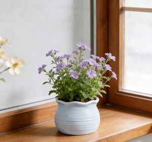 Vasi in Ceramica all'Ingrosso, Vasi in Argilla per <span class=keywords><strong>Piante</strong></span> <span class=keywords><strong>da</strong></span> Esterno, Vasi in Ceramica per <span class=keywords><strong>Balcone</strong></span>, Fioriere - Product Image 2