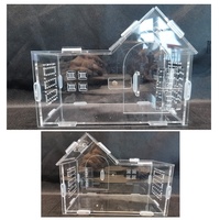 Terrarium moderne en acrylique écologique pour araignées sauteuses, avec services de moulage et de découpe, en forme de maison à double pièce pour reptiles