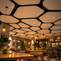 Panneau de plafond en fibre de verre Qinsound NRC0.9 à haute réduction de bruit, forme personnalisée, isolation acoustique irrégulière pour café