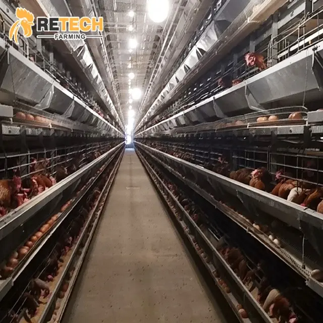 अंडा परत चिकन कॉप निर्माता एच प्रकार स्वत: बैटरी पिंजरों बिछाने मुर्गियाँ के लिए अफ्रीका