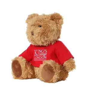 OEM ODM-oso de peluche para bebé, personalizados con logotipo bordado juguetes de peluche, oso de peluche con suéter