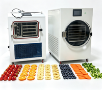 Batch Mini Vriesdroger Kleine Vacuüm Vriesdroger Voedsel Lyofilisator Kleine Vriesdroogmachine