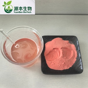 Il Produttore Fornisce Polvere di Succo di Fragola di Alta Qualità e Salutare. - Product Image 3