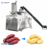 Hoge Efficiëntie Stoomschilmachine Zoete Aardappel Papaya Taro Schiller Voedselverwerking