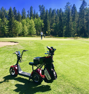 Voiturette <span class=keywords><strong>de</strong></span> golf électrique pliable, légère, étanche, avec pneus larges, GPS intelligent, super puissante, pour le marché australien - Product Image 1