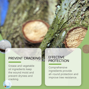 MOONSPRY Outils pour Bonsaï Sécateur Pliant Vert - Product Image 2