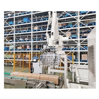 Robot Load Unlaod Sac Boîte Palettiseur Pile Pince Fixation Robot Palettisation Bras Outil Robot Bras Fin Pince EOAT