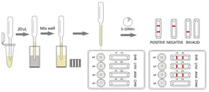 Veterinaria Ehrlichia Chw/Ehr/Lyme/Ana Anti Nuclear Anticuerpo (Ana) Prueba Anaplasma Babesia Heartworm Test Combo Kit