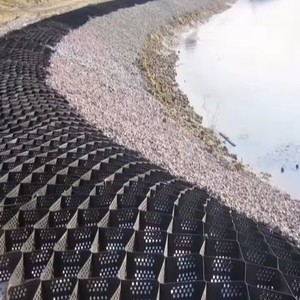 ตะแกรงกรวดรังผึ้งสำหรับการเสริมแรงพื้นผลิตภัณฑ์จากประเทศจีน - Product Image 2